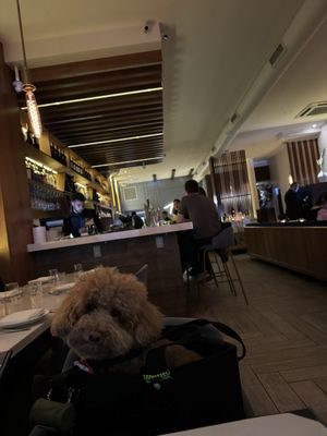 Terravita Uptown by null