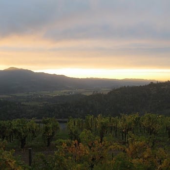 Viader Vineyards & Winery - twilight tasting - Wine Tours Near Me - Deer Park, California Viader Vineyards & Winery - twilight tasting - Wine Tours Near Me - Deer Park, California