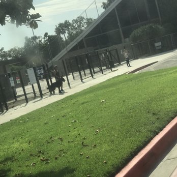 La Palma Dog Park - Guy with the aggressive dog that attacked our dog - Dog Parks Near Me - Anaheim, California La Palma Dog Park - Guy with the aggressive dog that attacked our dog - Dog Parks Near Me - Anaheim, California