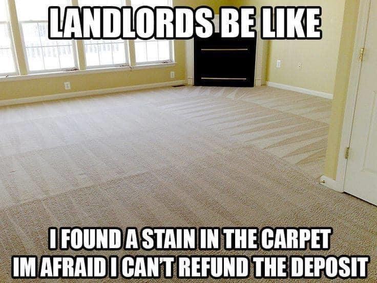 FREDERICK COUNTY CARPET CLEANERS Request a Quote 13 Photos