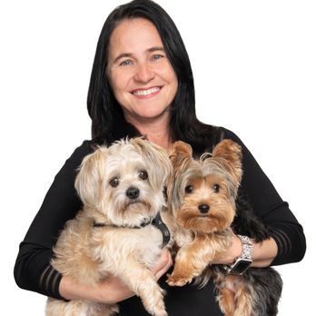 The ABC CPA - Payroll Services Near Me - St. Petersburg, Florida The ABC CPA - Payroll Services Near Me - St. Petersburg, Florida