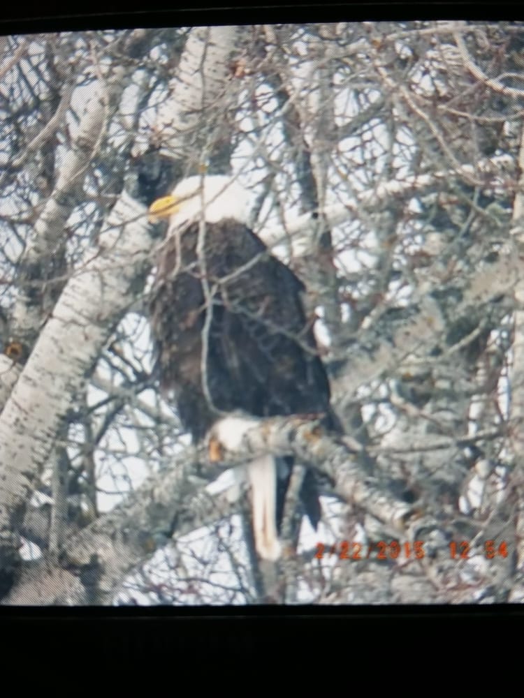 Hulbert Happy Hour Logo