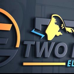 Two Lions Electric