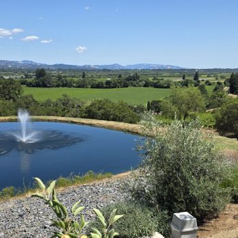 Overshine Wine - Wineries Near Me - Healdsburg, California Overshine Wine - Wineries Near Me - Healdsburg, California