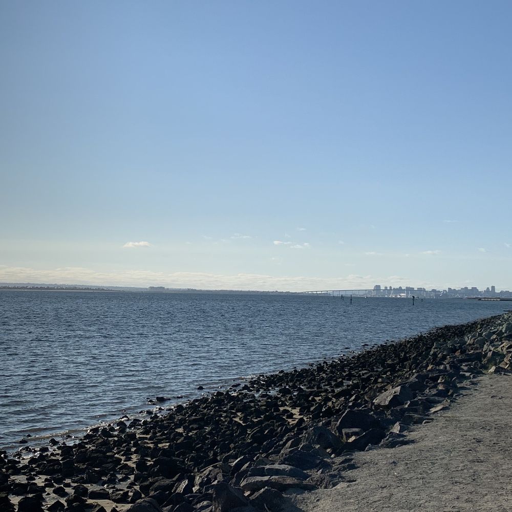 Nice view of downtown San Diego, you can see the boats in the distance and to the East the mountains.