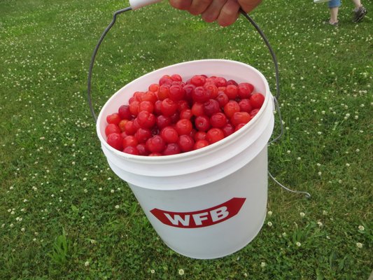 Walker's Wine Juice, LLC by null