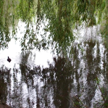 Park Am Weiher - Parks Near Me - Hamburg, HH Park Am Weiher - Parks Near Me - Hamburg, HH