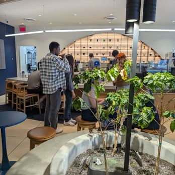 Moonwake Coffee Roasters - Moonwale coffee don't miss it! - Coffee Roasteries Near Me - San Jose, California Moonwake Coffee Roasters - Moonwale coffee don't miss it! - Coffee Roasteries Near Me - San Jose, California