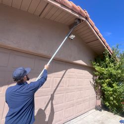 CaliCo Pest Solutions