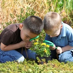 Montessori Academy Preschool