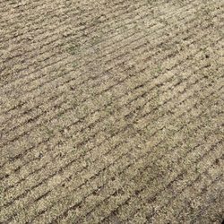 GolfTroop - Variegated fairways.