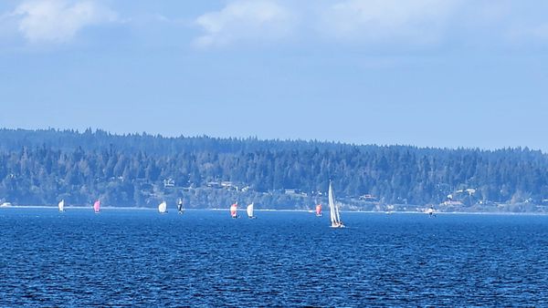 Carkeek Park by null