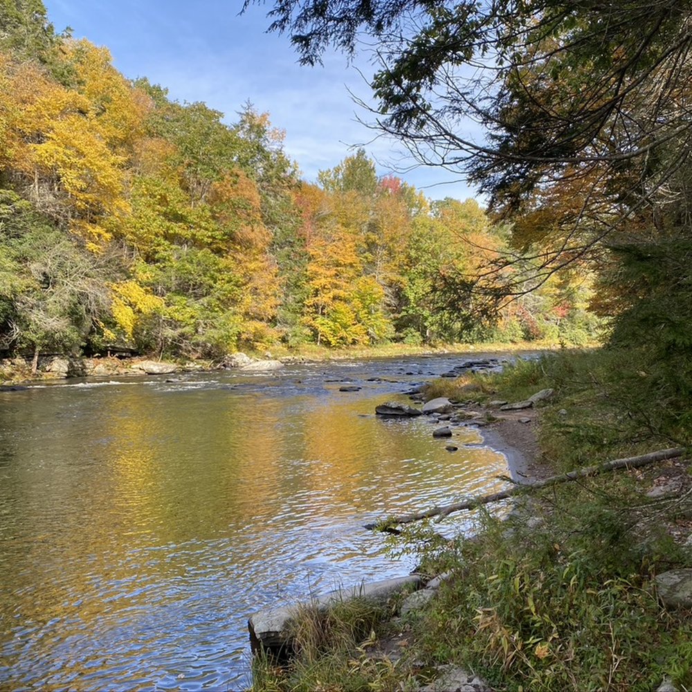 Neversink River Unique Area - View Of Neversink River - Hiking Near Me - Rock Hill, New York