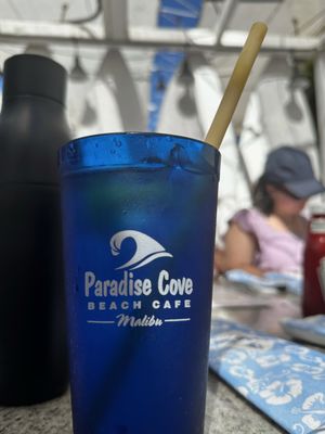 Paradise Cove Beach by null