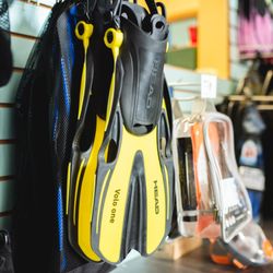 The Dive Shop