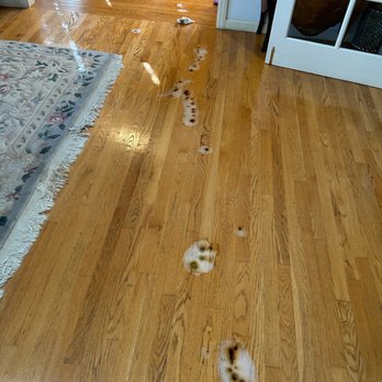 Hardwood Floor Specialist - Flooring Near Me - Rosemead, California