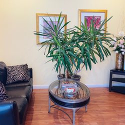 H & L Massage - Lobby