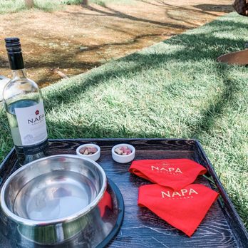 Napa Cellars - Super dog friendly! @mochimunchosaurus - Wineries Near Me - Oakville, California