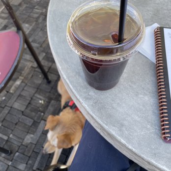 Alibi Coffee - Cold Brew and pup - Coffee & Tea Near Me - Los Angeles, California