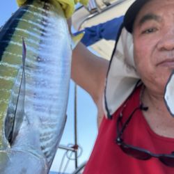 Sushi Time - The yellowfin tuna