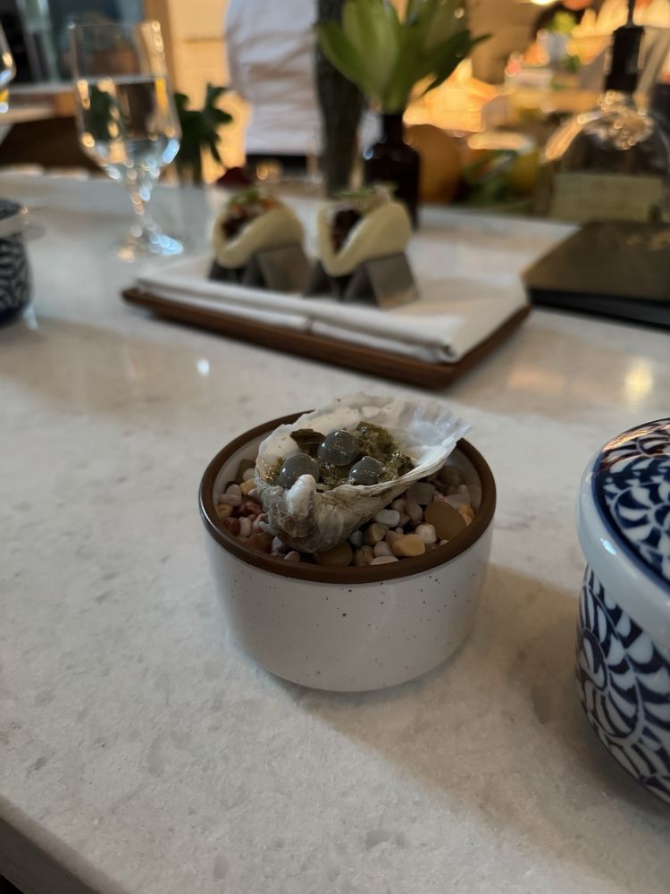 Social spots from Wild Common