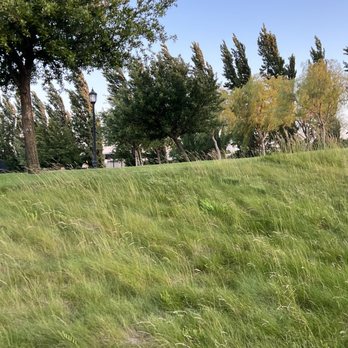 Central Community Park - Central Park, Mountain House, CA https://www.amway.com/myshop/sureonlinestore - Parks Near Me - Mountain House, California