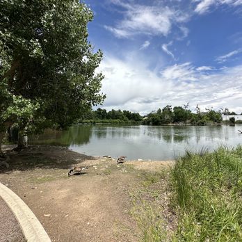 City Park - Parks Near Me - Denver, Colorado