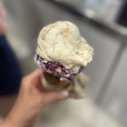 Jeni's Splendid Ice Creams - Jeni's OG in a cone