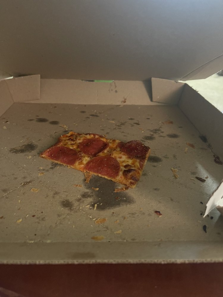 Domino's Pizza Logo