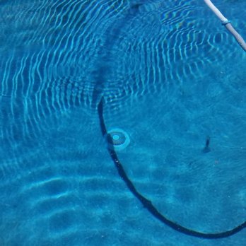 A Clear Choice Pool and Spa Services - Look at how amazing my pool looks after  three weeks with no filter! - Pool Cleaners Near Me