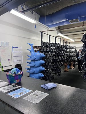 Oakland Ice Center by null