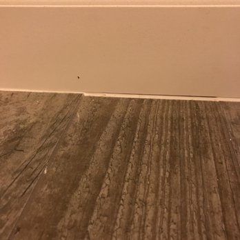 Abbey Flooring Design Center - Before replacement - Carpeting Near Me - Elk Grove, California Abbey Flooring Design Center - Before replacement - Carpeting Near Me - Elk Grove, California