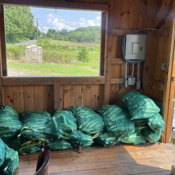 Logue Farms - Fresh corn