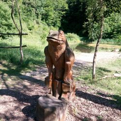 Berghaus Rhön