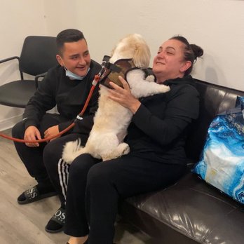 Pet Rush Inn - Reunion with Cooper - Pet Sitting Near Me - Burbank, California Pet Rush Inn - Reunion with Cooper - Pet Sitting Near Me - Burbank, California