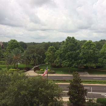 Largo Central Park - Photo of park from hotel across the street - Parks Near Me - Largo, Florida Largo Central Park - Photo of park from hotel across the street - Parks Near Me - Largo, Florida