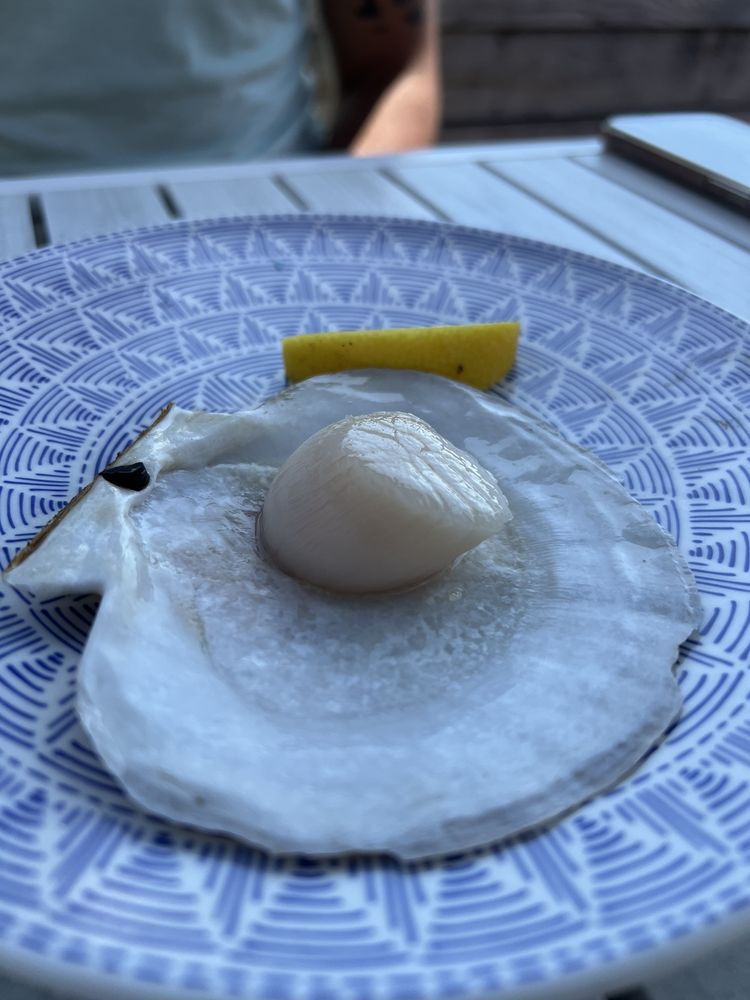 THE HALF SHELL OYSTERS & SEAFOOD Updated October 2024 40 Photos & 22 Reviews 108 Montague