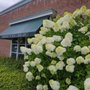 Photo of Amherst Public Library - Clearfield