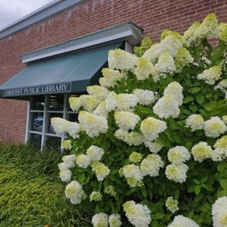 Amherst Public Library - Clearfield