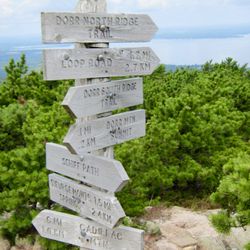 Scenic Acadia Tours