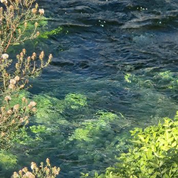Ritter Island State Park - Very cold water but very beautiful! - Hiking Near Me - Wendell, Idaho Ritter Island State Park - Very cold water but very beautiful! - Hiking Near Me - Wendell, Idaho