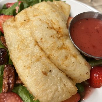 Tripletail Seafood & Spirits - Tripletail their specialty this time on top of fresh greens salad. - Seafood Near Me - Sarasota, Florida Tripletail Seafood & Spirits - Tripletail their specialty this time on top of fresh greens salad. - Seafood Near Me - Sarasota, Florida