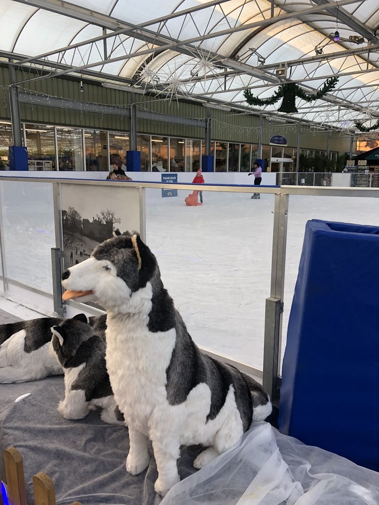 PLANTERS 37 Photos Bretby Lane, Bretby, Derbyshire, United Kingdom
