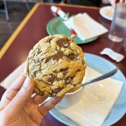 Chocolate chip cookie