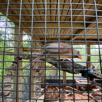 Florida Keys Wild Bird Sanctuary - Animal Shelters Near Me - Tavernier, Florida Florida Keys Wild Bird Sanctuary - Animal Shelters Near Me - Tavernier, Florida