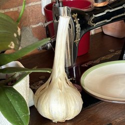 Bittarelli Patrizio - Giant garlic