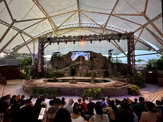 Night Safari by null