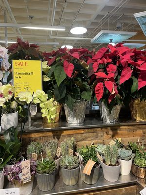 Whole Foods Market by null