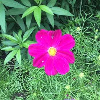 Brookside Gardens  - Botanical Gardens Near Me - Wheaton, Maryland