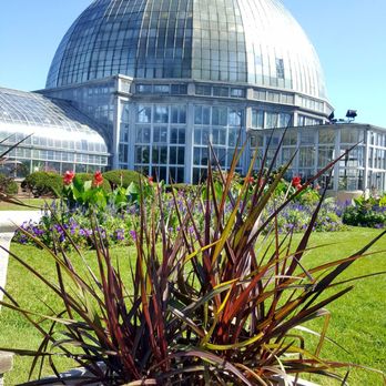 Anna Scripps Whitcomb Conservatory - Botanical Gardens Near Me - Detroit, Michigan Anna Scripps Whitcomb Conservatory - Botanical Gardens Near Me - Detroit, Michigan